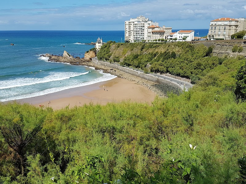 Beach Cote des Basques