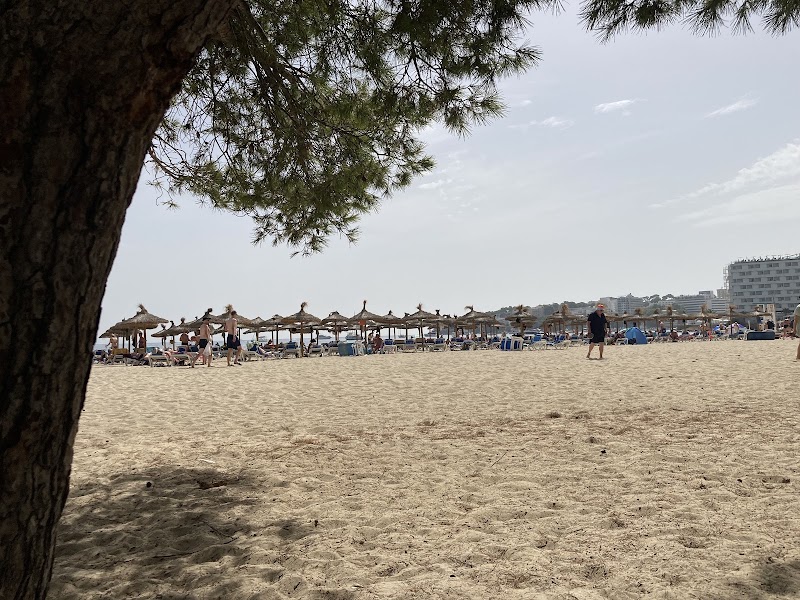 Es Carregador Beach