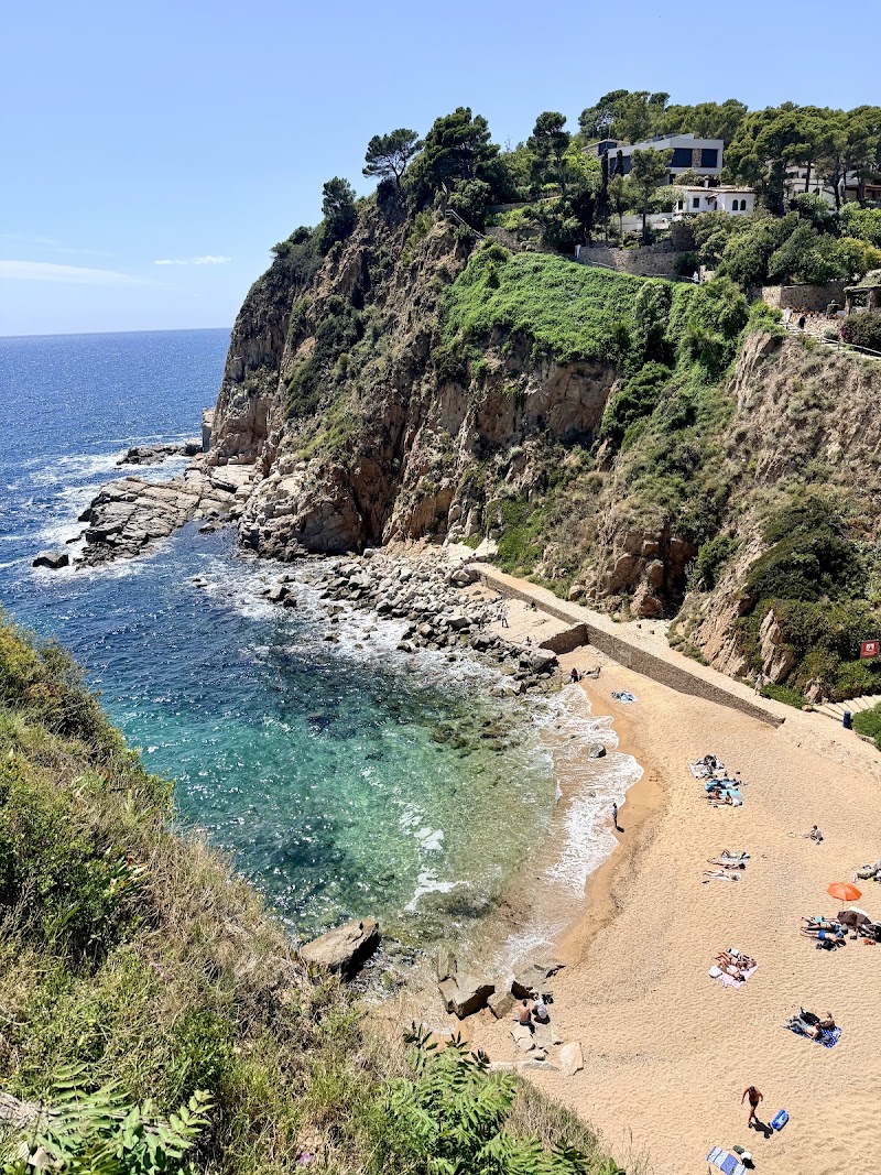 Es Codolar beach