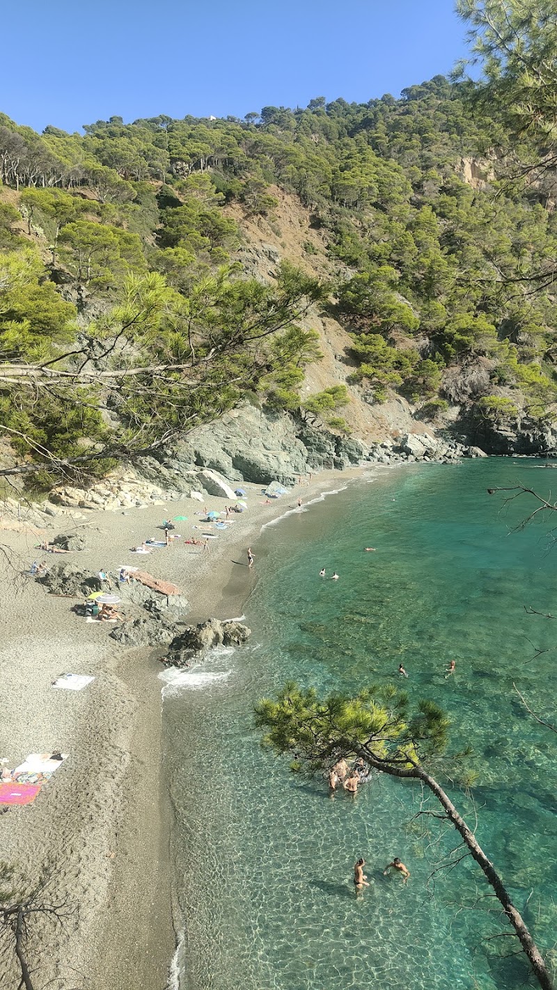 Platja Fonda